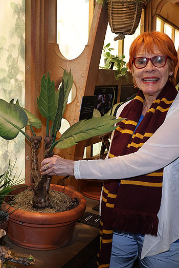 Victoria Brams (spricht in den Potter-Filmen die „Professorin für Wahrsagerei“) mit kreischender Alraune  @ "Harry Potter - Die Ausstellung" in der Kleinen Olympiahalle im Olympiapark (©Foto: Martin Schmitz)